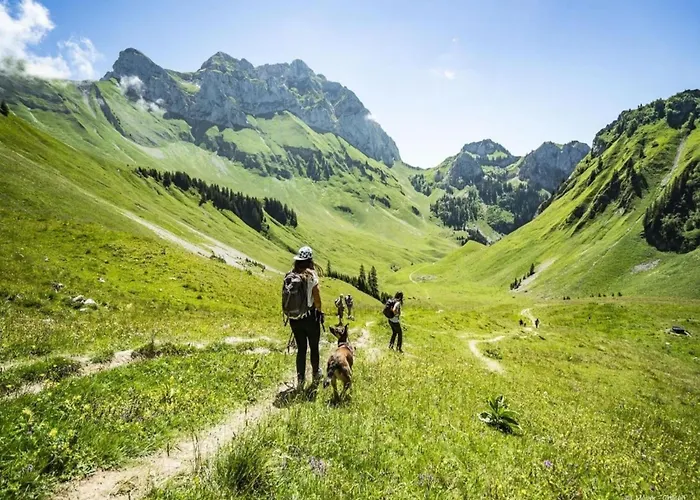 With Parking For 6 People Apartmán Châtel